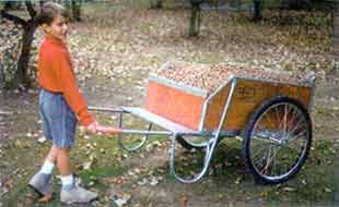garden cart