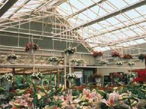 garden-center